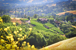 California 'Family-Friendly' Wineries